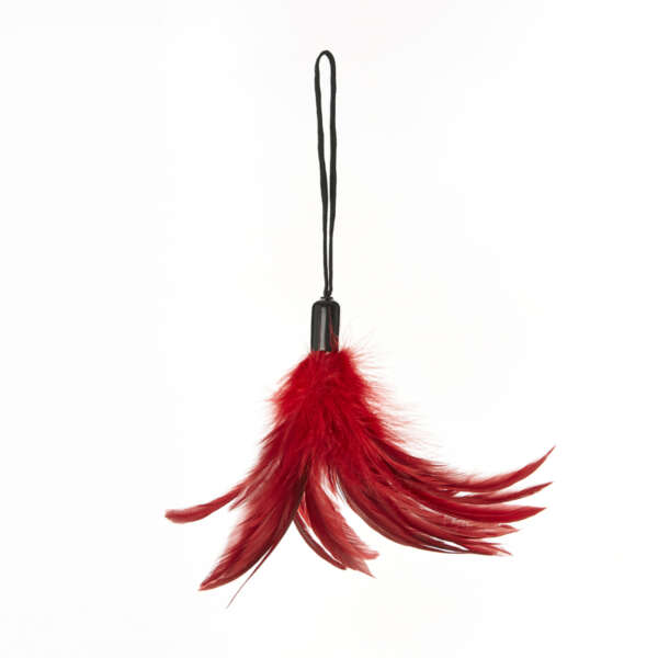 SS Pleasure Feather Tickler Red
