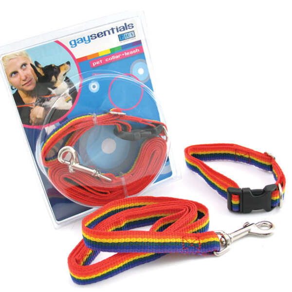 GS Pet Collar/Leash Combo (Medium)