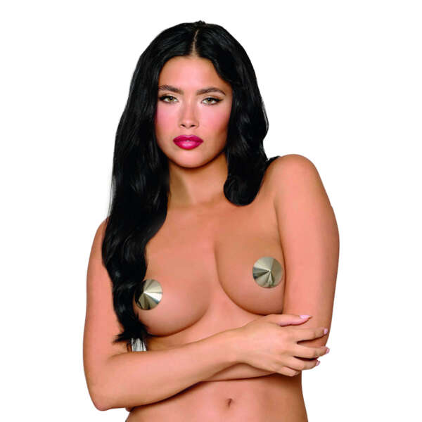 DG Reusable Metal Pasties Silver