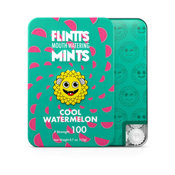 Flintts Mints Cool Watermelon - FS 100