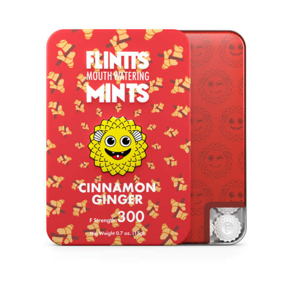 Flintts Mints Cinnamon Ginger - FS 300