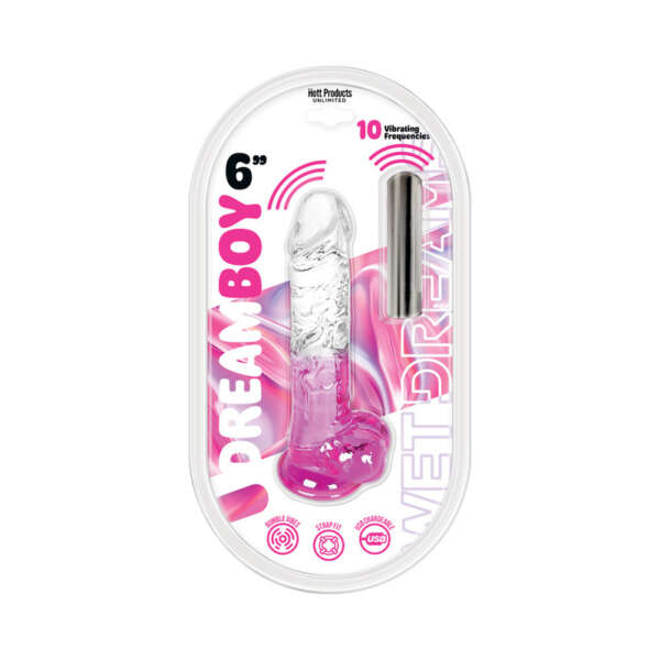 Wet Dreams Dream Boy Dildo W/Bullet 6
