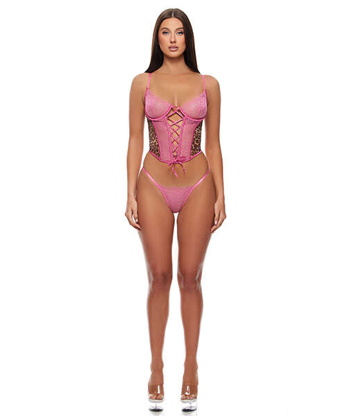Animal Instincts Mesh Bustier & Panty 2 pc Set - Pink Leopard LG