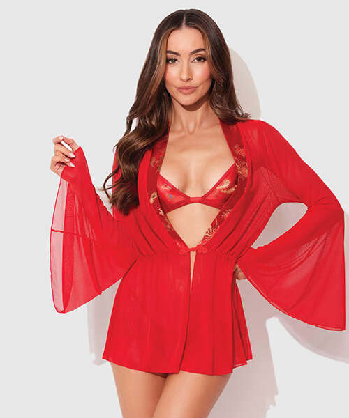 Dragon Sheer Mesh Robe w/Satin Triangle Top & G-String 3 pc Set - Red LG