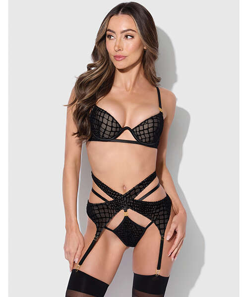 Snake Velvet-Burnout Mesh Bra, Garter, & Backless Hipster Set - Black SM