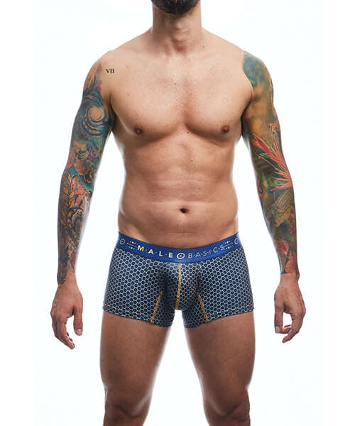 Male Basics Hipster Trunk Andalucia LG