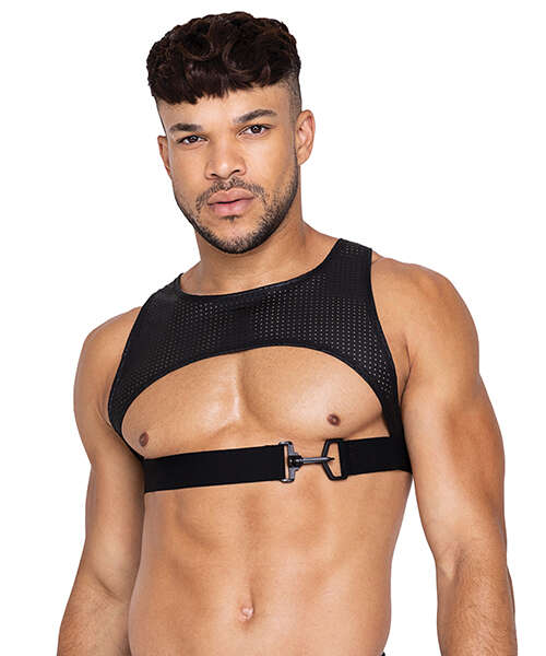 Master Harness w/Hook & Ring Closure Black SM