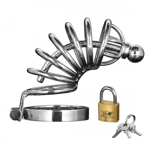Asylum 6 Ring Locking Chastity Cage  - Medium/large