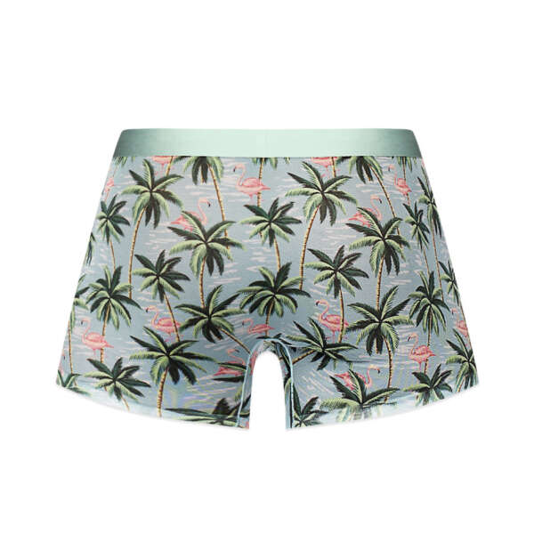Sheer Prints - Seamless Sheer Short - Small - Flamingo