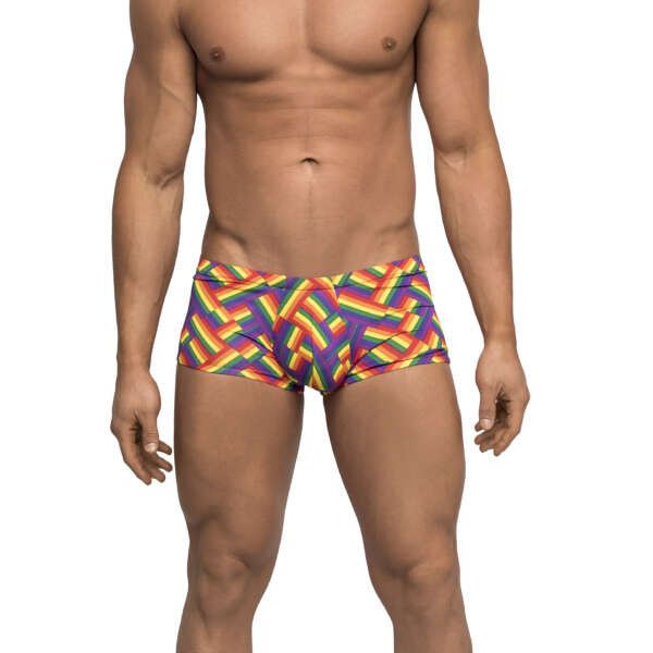 Pride Fest - Mini Short - Medium - Print