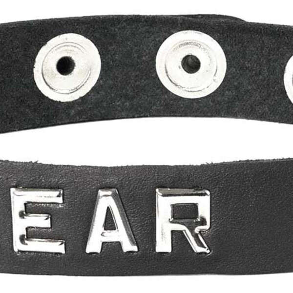 Collar - Bear
