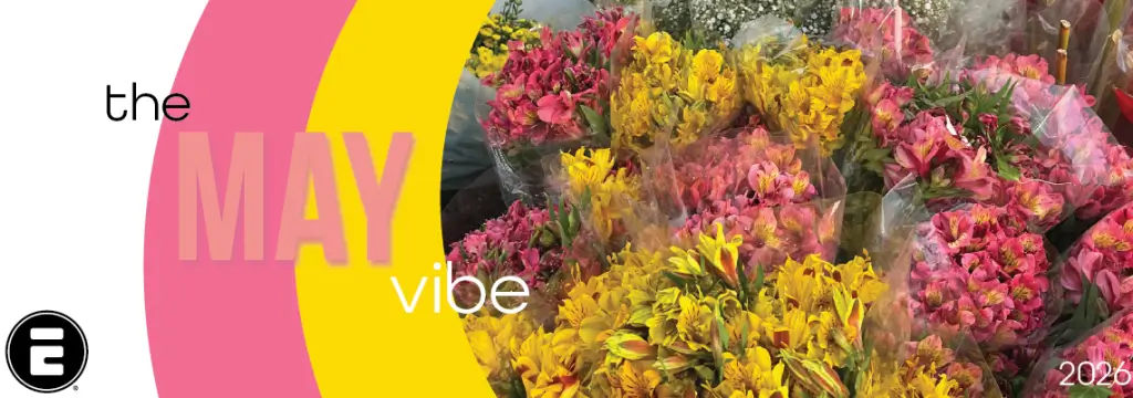 MarchVibe_banner_1140x400-1024x360