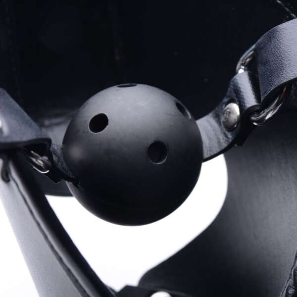 Pup Puppy Play Hood and Breathable Ball Gag