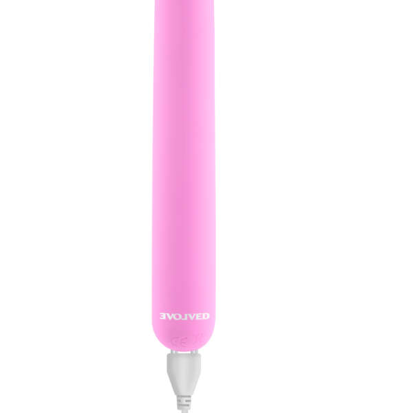 Carnation - Pink