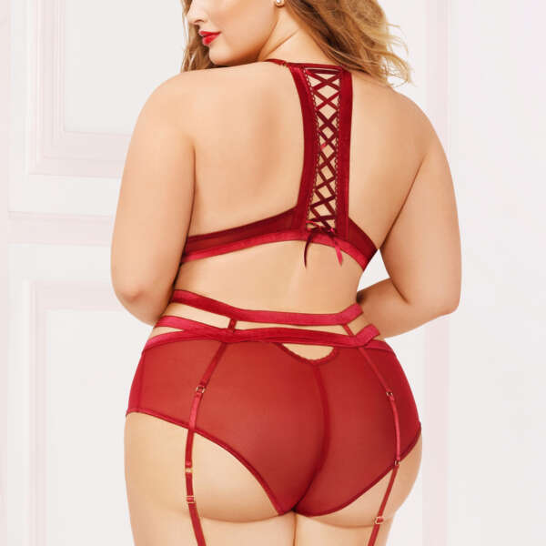 Applique & Mesh Bra Set - 1x2x - Burgundy